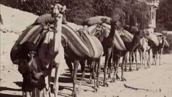 موقع أيام نيوز