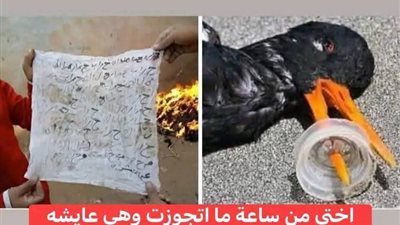 اختي من ساعة ما اتجوزت بقلم حماده هيكل