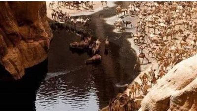 بينما انا بين النائم واليقظان