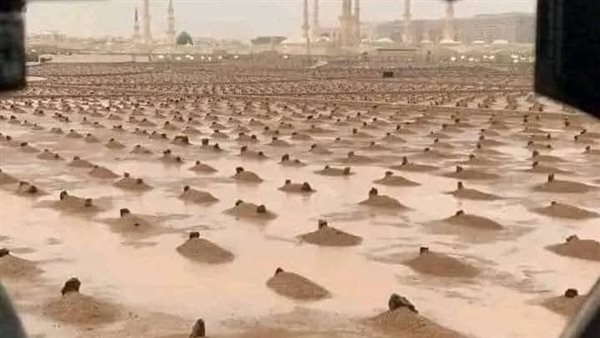 موقع أيام نيوز