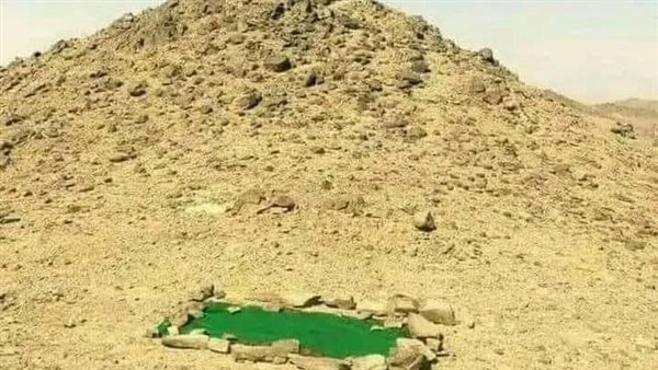 موقع أيام نيوز