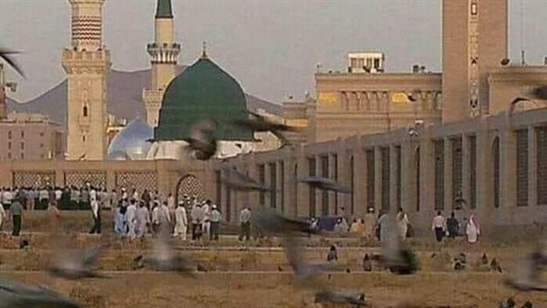 موقع أيام نيوز