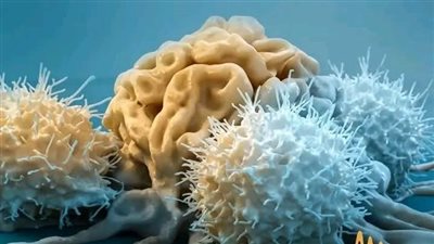 تمنع نمو الخلايا السړطانية أطعمة تناولها يوميا