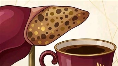 ماذا يحدث للكبد عند تناول القهوة