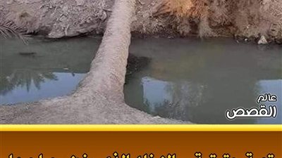 قصة حقيقية