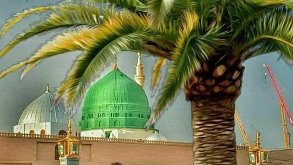 موقع أيام نيوز